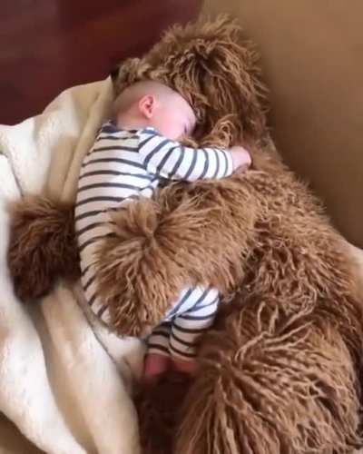 Nap time