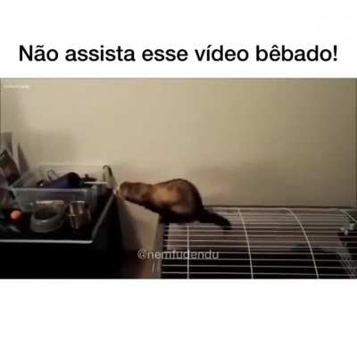 Nova profissão: Anti biologo