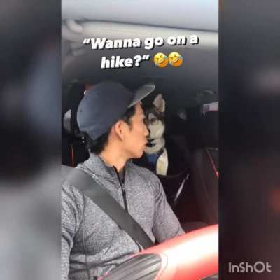Wanna go on a hike