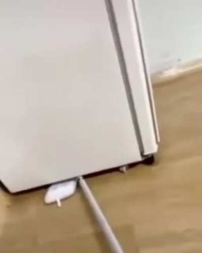 OH SHIT A RAT