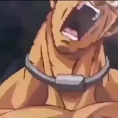 haslo broli