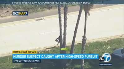 Murder suspect on the run
