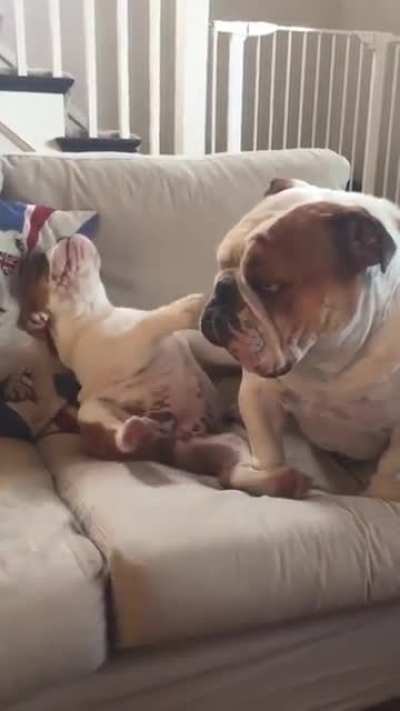Handling a family dispute.