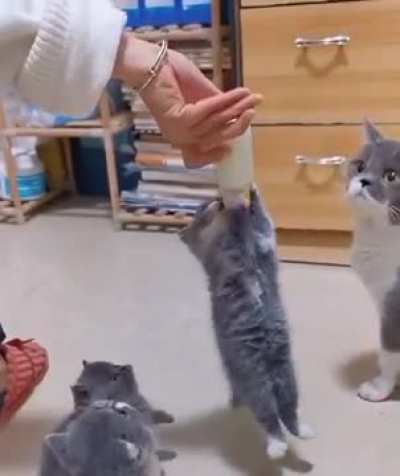 dis mine