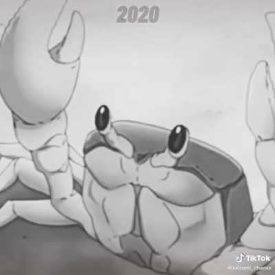 Rip