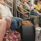 A subway creature of a different breed