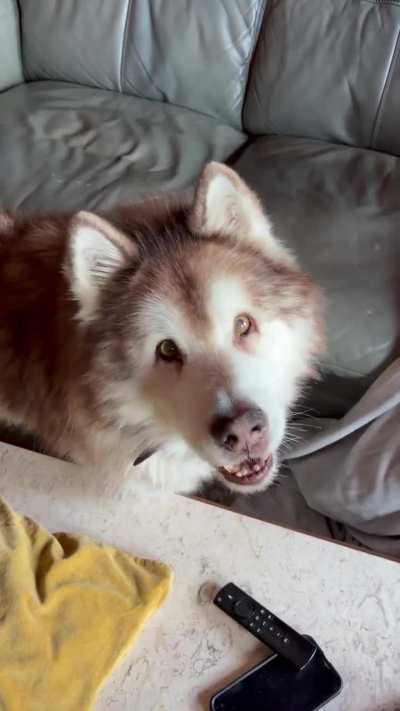 Torch has a few words about his 15th birthday.