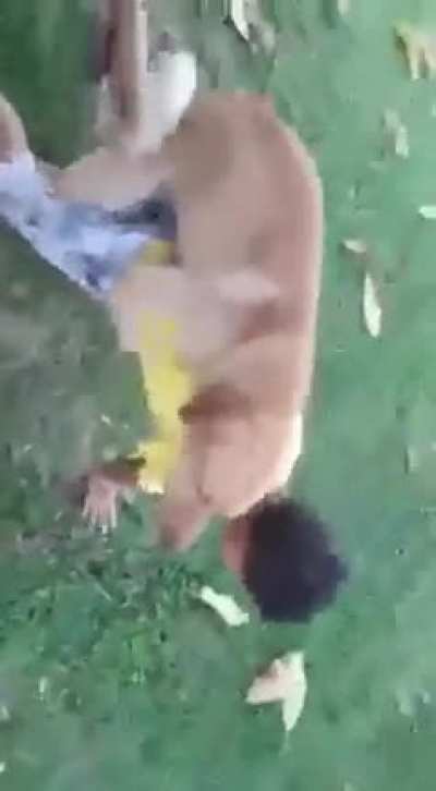 Cachorro Extrupador