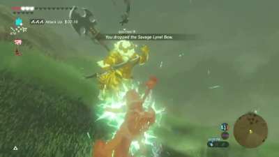 After a thousand hours of gameplay, Lynels are no longer a threat as befor.... Hey! WTF! You can't do that! This is not fair! What's happening! Stop! Stop doing this!! Aaaaaaargh!