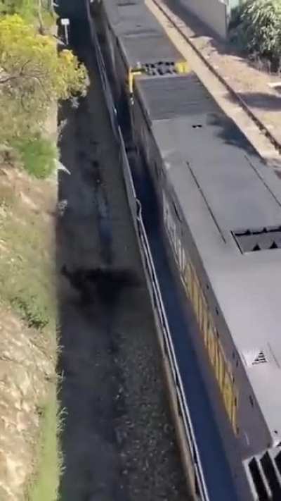 Siempre a Tu Lado