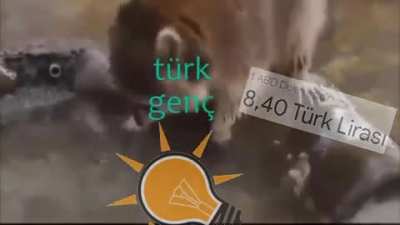İyi gejeler