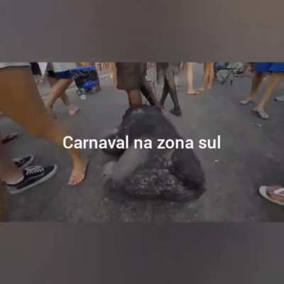 CARNAVAL DE CRIA VS PLAYBOY