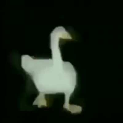 Eminem Goose