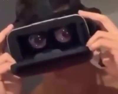 A reality headset
