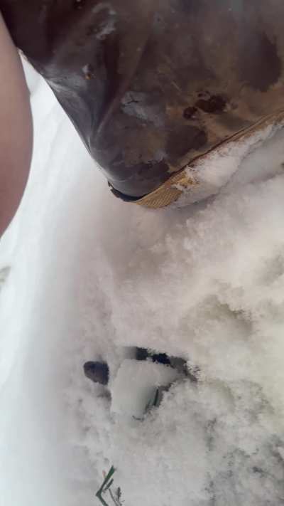 Wifey going potty outside in the snow. She had to pee before pushing out a small turd and then uses some toilet paper to help push out some more poop 😈
