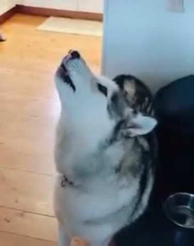 I want one