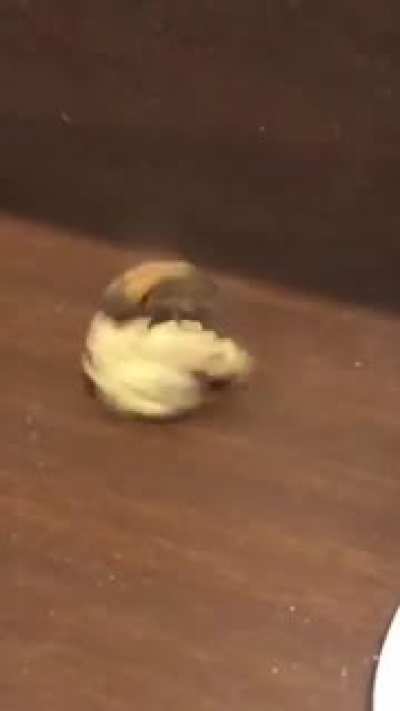 To steal the weed