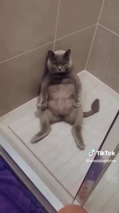 Mashallah