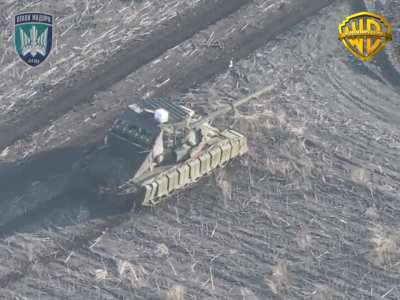 Ukrainian Marines 