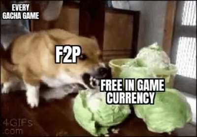 Why are we even playing anymore
