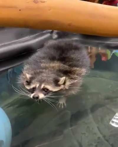 I am log now