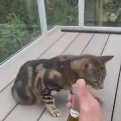 rule