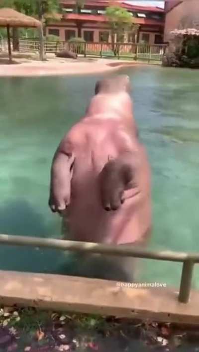 Ooh, the elegance