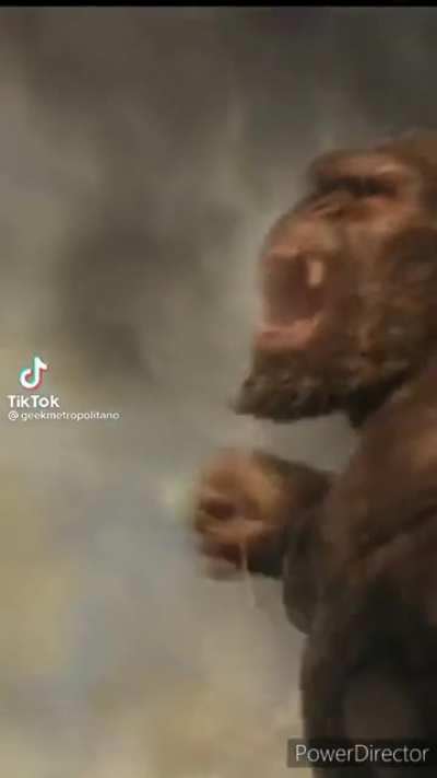 En la mente de godzilla xd
