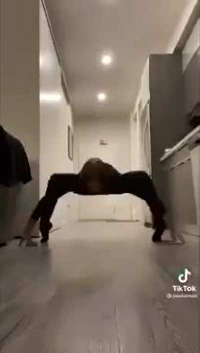 Spider 