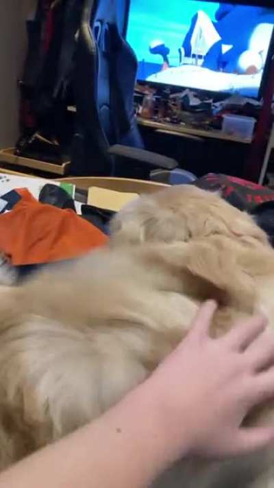 “Puppy eats boys toes”