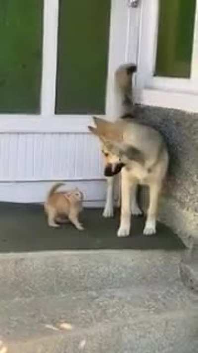 На зли меня - убью!
