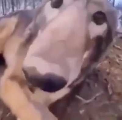 Ola 😦