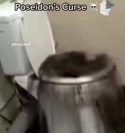 curses