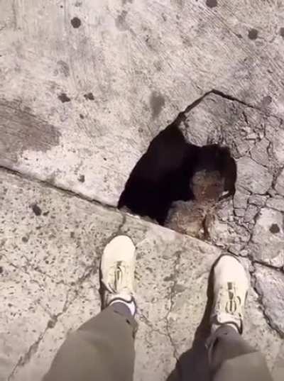 A Secret Entrance has been found in New York City