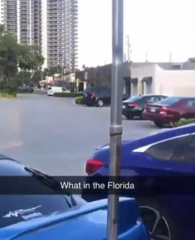 pimp my ride