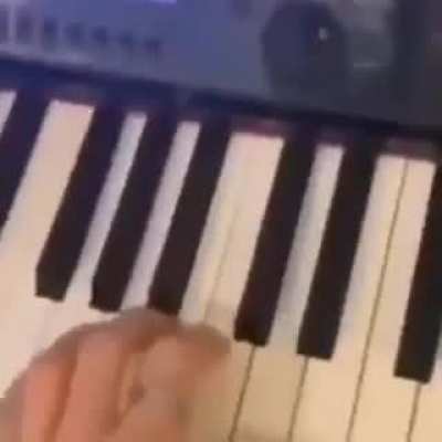 Ayo angus