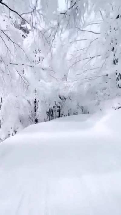 Winter road with snow and perfect white scenery
