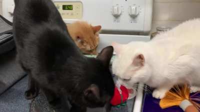 They don’t really like to share.