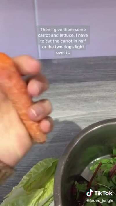 Vegan pets