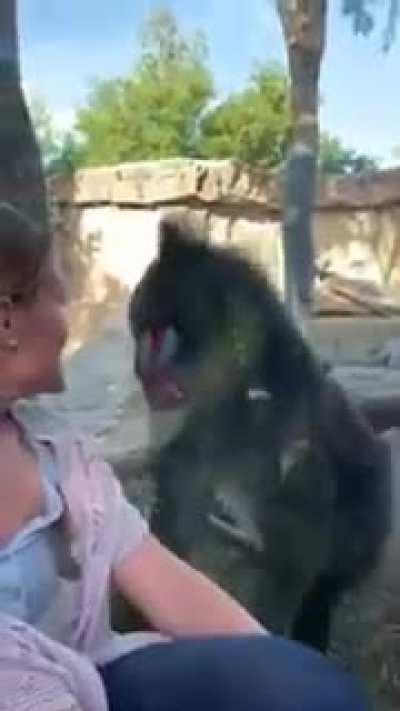 Mandrill Monkey Shoots his Shot