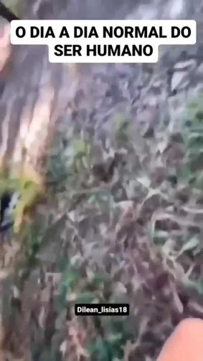 O dia a dia do ser humano