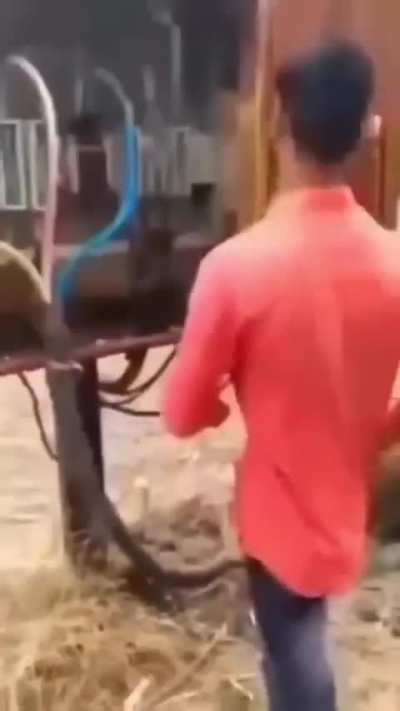 Eu quero achar o vídeo original sem o corte no final