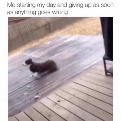 Can't relate more
