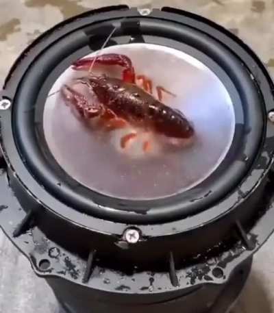 Lobter rule