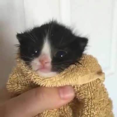 WEE--