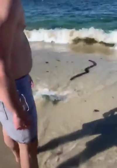 A nice relaxing day at the beach