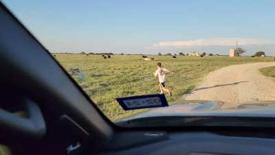 To catch a calf