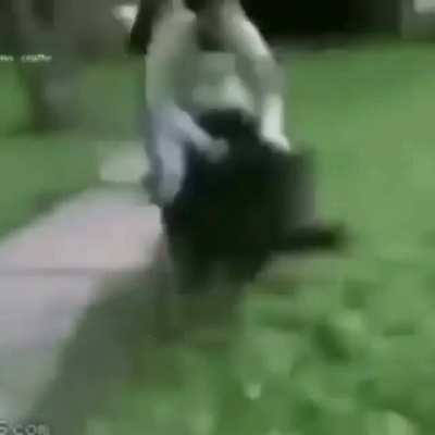 Hog rider