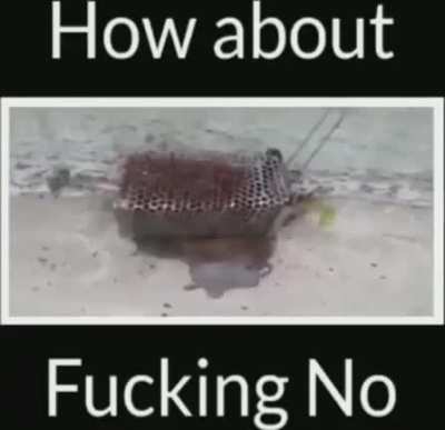 Nice