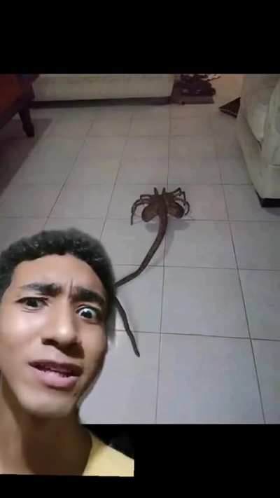si o que, llega a existir esto y me cambio de planeta